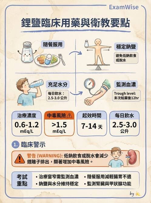 護理師 - 雙相情緒障礙護理 - AI 圖文解析預覽