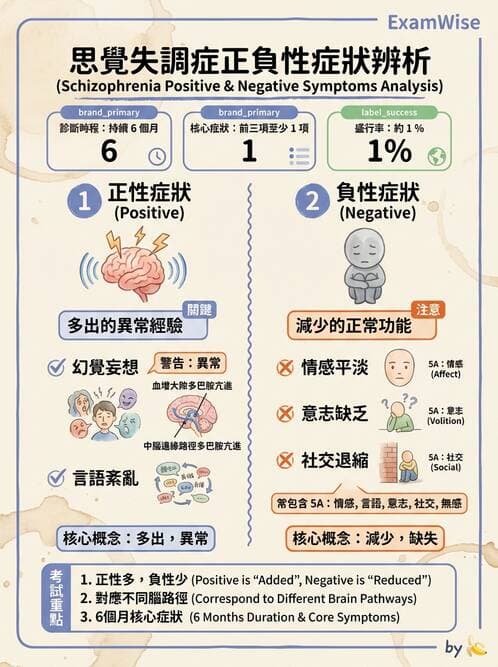 護理師 - 思覺失調症護理 - AI 圖文解析預覽