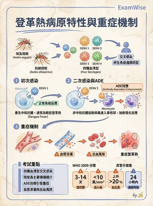 護理師 - 傳染病防治與護理 - AI 圖文解析預覽