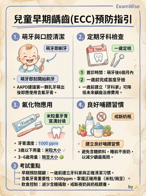 護理師 - 婦幼與青少年健康 - AI 圖文解析預覽