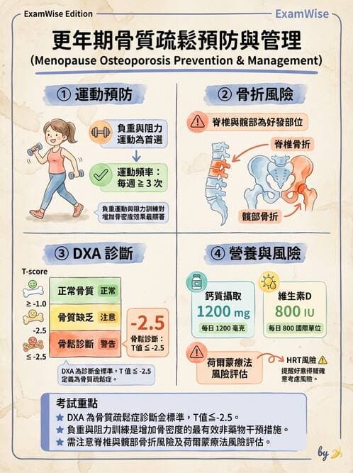 護理師 - 婦幼與青少年健康 - AI 圖文解析預覽