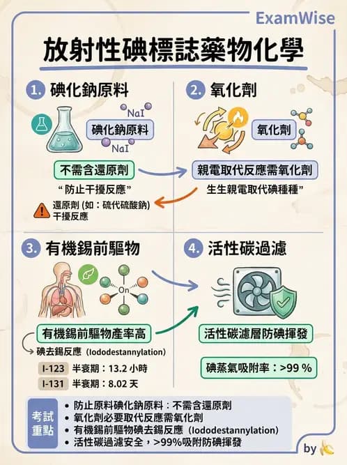 放射 - 肺肝膽與製劑通則 - AI 圖文解析預覽