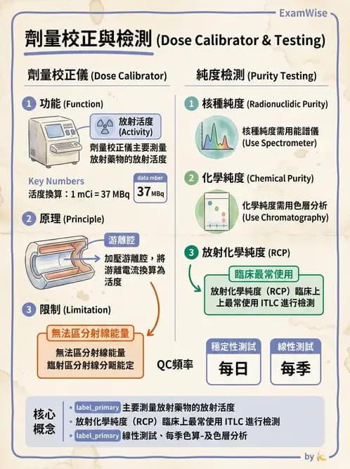 放射 - 肺肝膽與製劑通則 - AI 圖文解析預覽