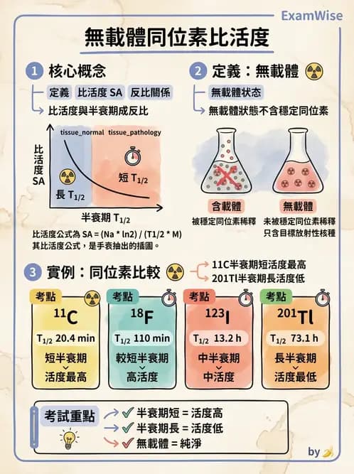 放射 - 蛻變類型與計算 - AI 圖文解析預覽