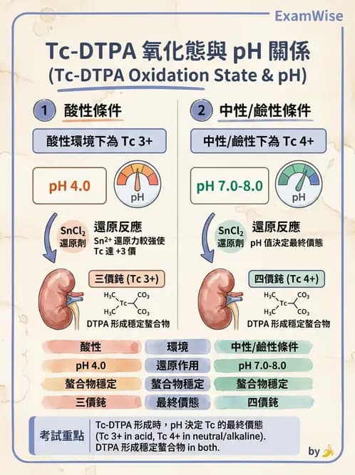 放射 - 肺肝膽與製劑通則 - AI 圖文解析預覽