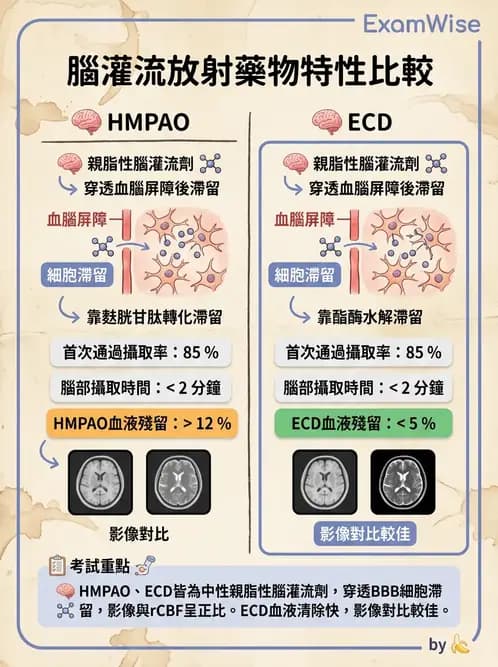 放射 - 腦部造影SPECT藥物 - AI 圖文解析預覽