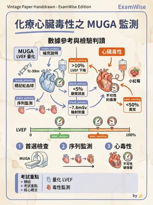 放射 - 心室功能造影 - AI 圖文解析預覽