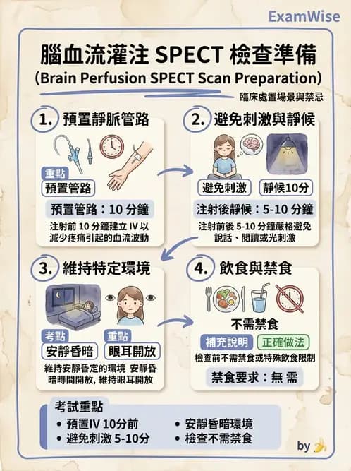 放射 - 腦部造影 - AI 圖文解析預覽