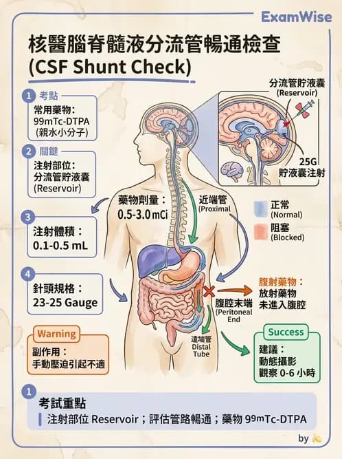 放射 - 腦部造影 - AI 圖文解析預覽