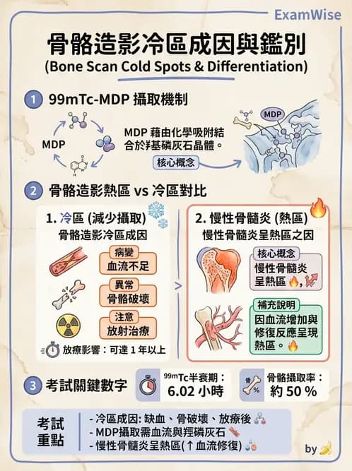 放射 - 骨骼造影 - AI 圖文解析預覽