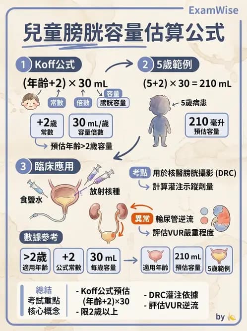 放射 - 腎臟造影 - AI 圖文解析預覽