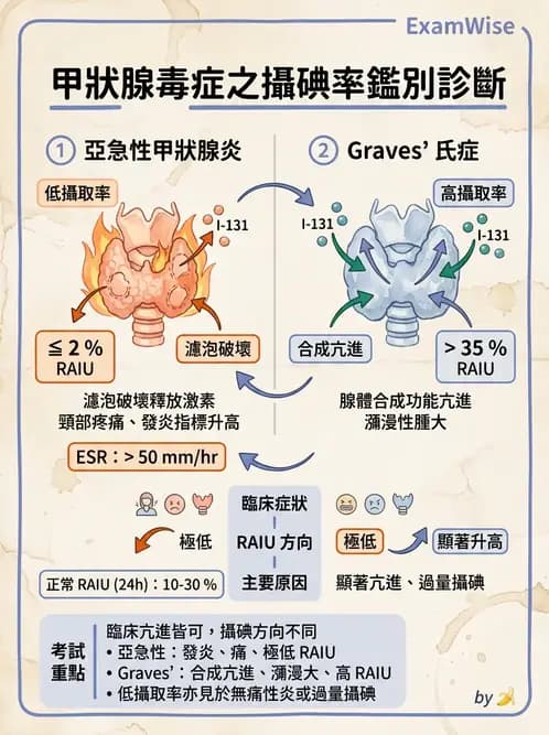 放射 - 甲狀腺造影 - AI 圖文解析預覽