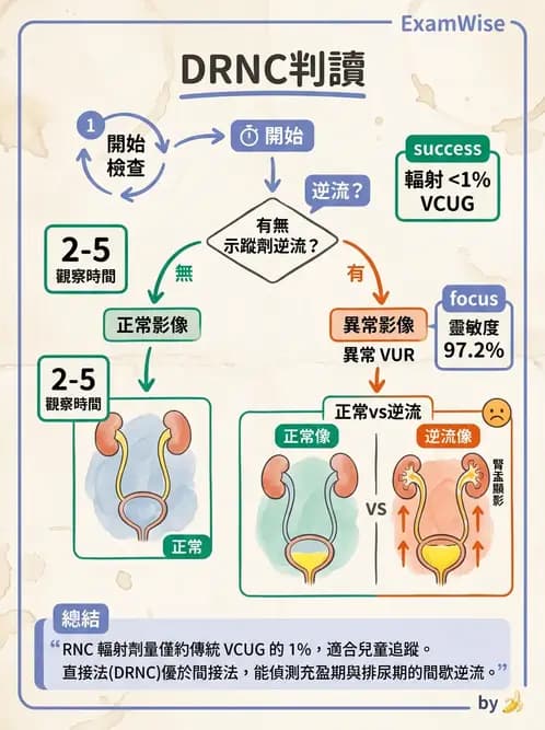 放射 - 腎臟造影 - AI 圖文解析預覽
