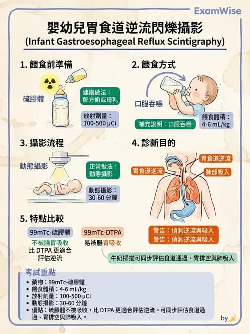 放射 - 消化道造影 - AI 圖文解析預覽