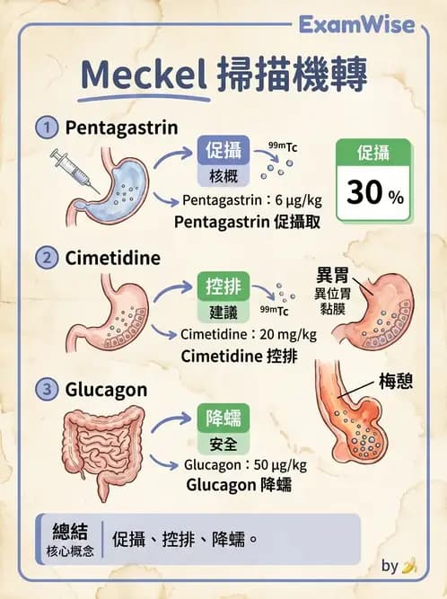 放射 - 消化道造影 - AI 圖文解析預覽