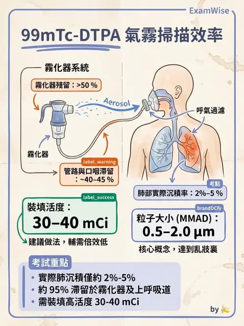 放射 - 肺部與感染造影 - AI 圖文解析預覽