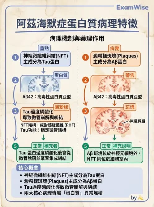 放射 - 神經系統疾病 - AI 圖文解析預覽