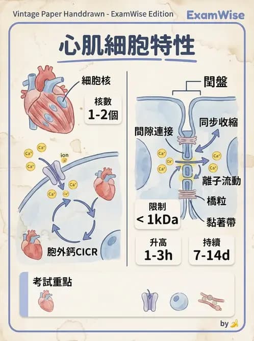 放射 - 心血管生理 - AI 圖文解析預覽