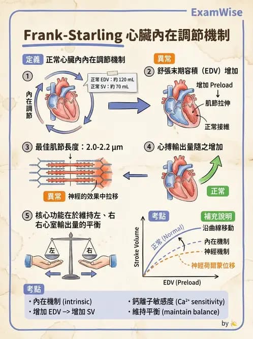 放射 - 心血管生理 - AI 圖文解析預覽