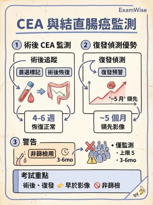 放射 - 惡性腫瘤 - AI 圖文解析預覽