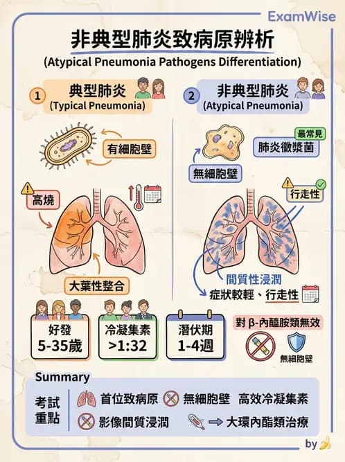 放射 - 呼吸系統疾病 - AI 圖文解析預覽