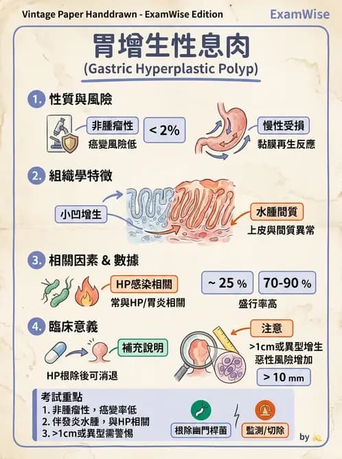 放射 - 口腔及腸胃道疾病 - AI 圖文解析預覽