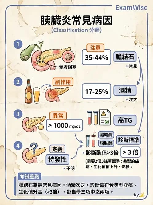 放射 - 肝臟、膽道及胰臟疾病 - AI 圖文解析預覽