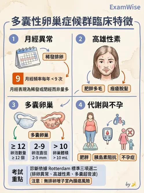 放射 - 生殖系統及乳房疾病 - AI 圖文解析預覽