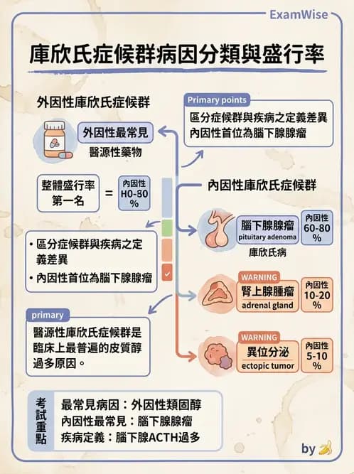 放射 - 內分泌系統疾病 - AI 圖文解析預覽