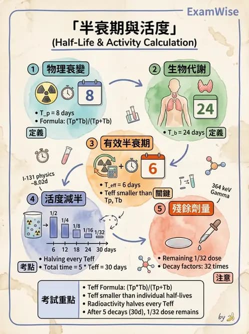 放射 - 體內劑量 - AI 圖文解析預覽
