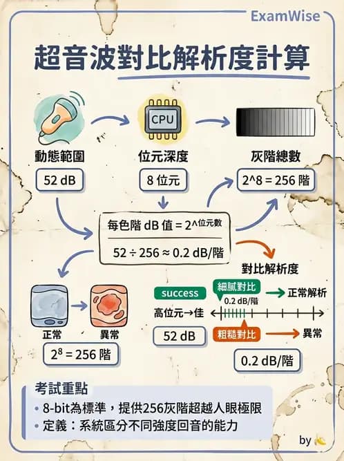 放射 - 超音波成像與都卜勒 - AI 圖文解析預覽