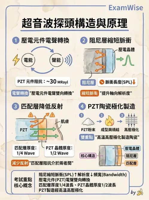 放射 - 超音波物理與換能器 - AI 圖文解析預覽
