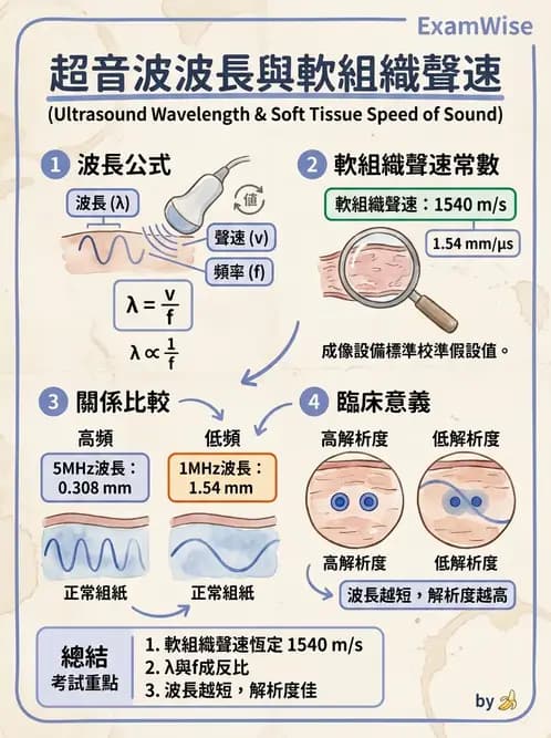 放射 - 超音波物理與換能器 - AI 圖文解析預覽