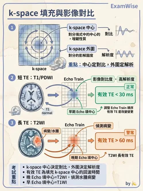 放射 - 空間編碼與影像品質 - AI 圖文解析預覽