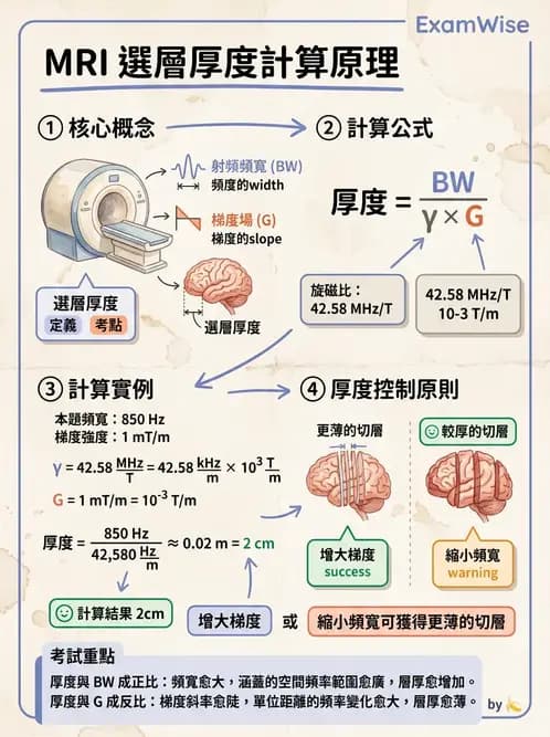 放射 - 空間編碼與影像品質 - AI 圖文解析預覽