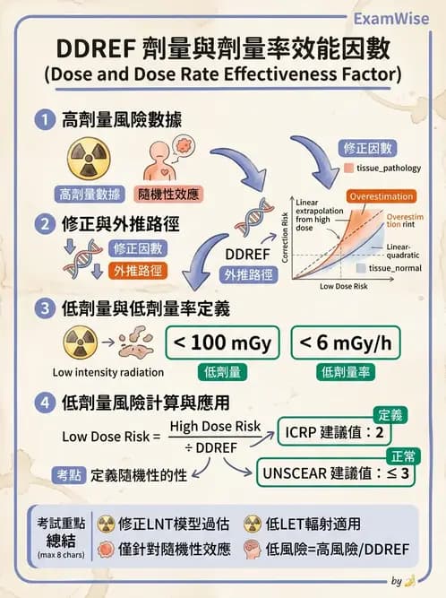 放射 - 全身性輻射效應 - AI 圖文解析預覽