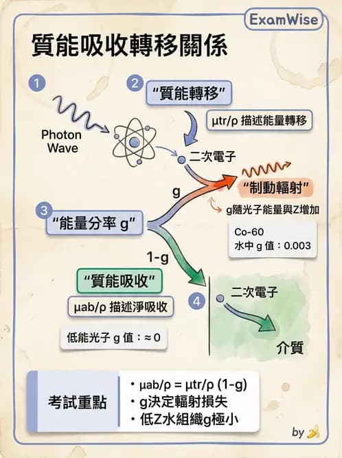 放射 - 光子衰減與係數計算 - AI 圖文解析預覽