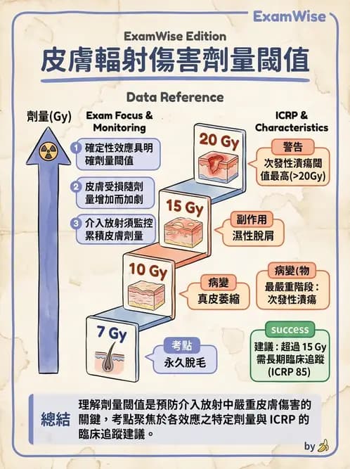 放射 - 全身性輻射效應 - AI 圖文解析預覽