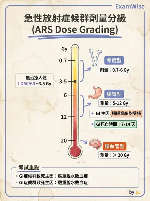 放射 - 全身性輻射效應 - AI 圖文解析預覽