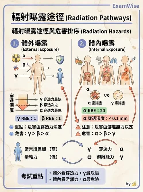 放射 - 輻射物理生物基礎 - AI 圖文解析預覽
