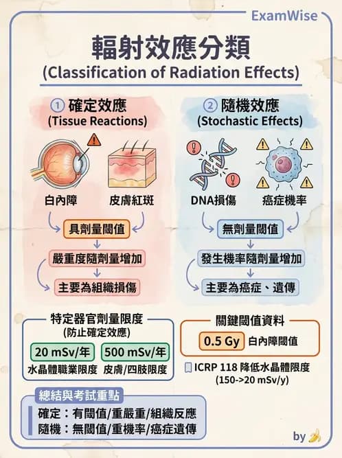 放射 - 劑量標準與防護原則 - AI 圖文解析預覽