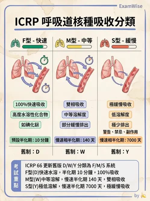 放射 - 體內劑量 - AI 圖文解析預覽