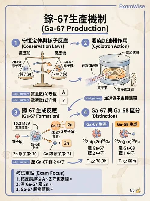 放射 - 放射性蛻變模式 - AI 圖文解析預覽