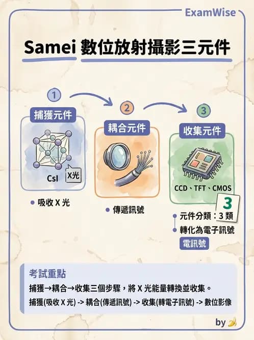 放射 - 數位放射攝影(DR)偵測器與影像品質 - AI 圖文解析預覽