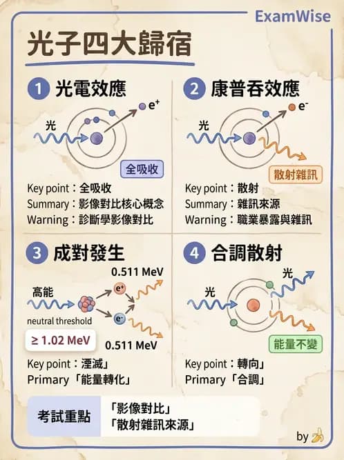 放射 - X光成像系統與影像品質 - AI 圖文解析預覽