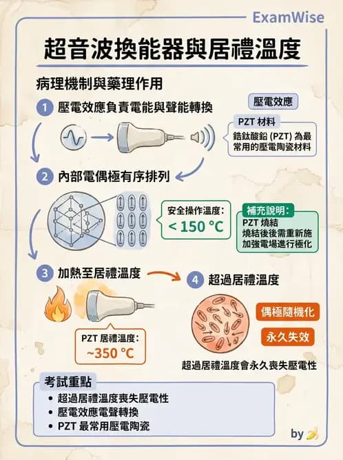 放射 - 超音波物理與系統原理 - AI 圖文解析預覽