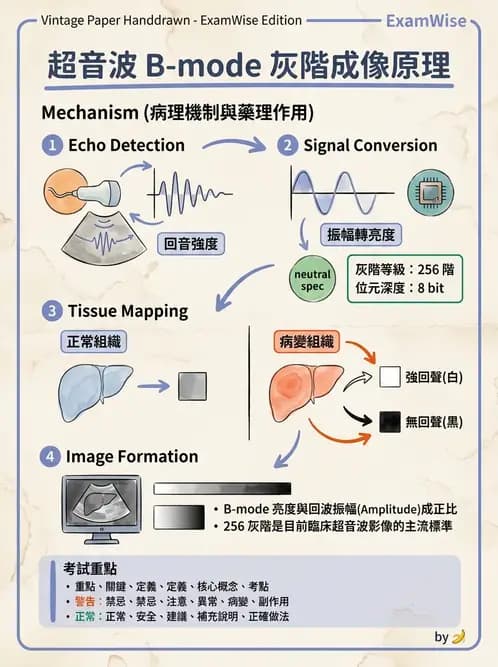 放射 - 超音波物理與系統原理 - AI 圖文解析預覽