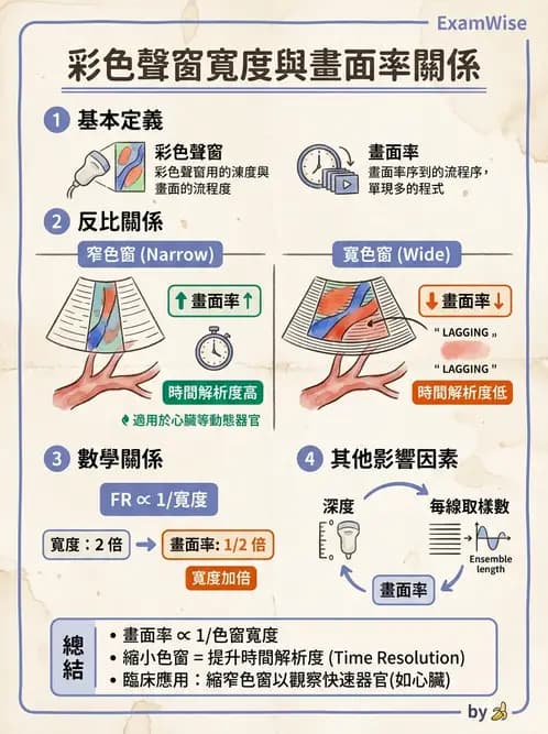 放射 - 都普勒超音波 - AI 圖文解析預覽