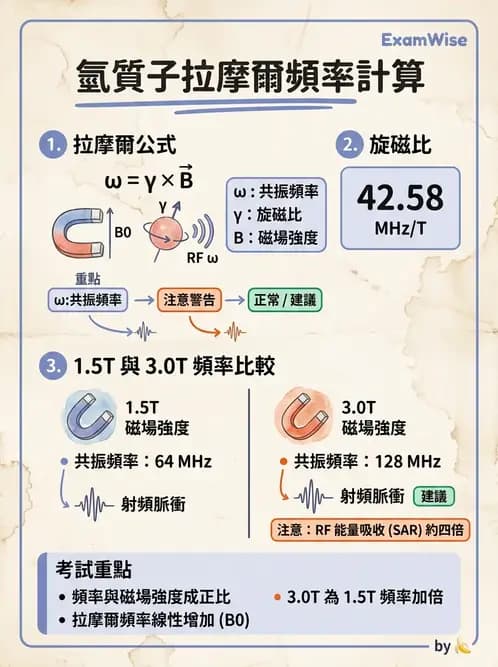 放射 - 射頻系統與線圈 - AI 圖文解析預覽