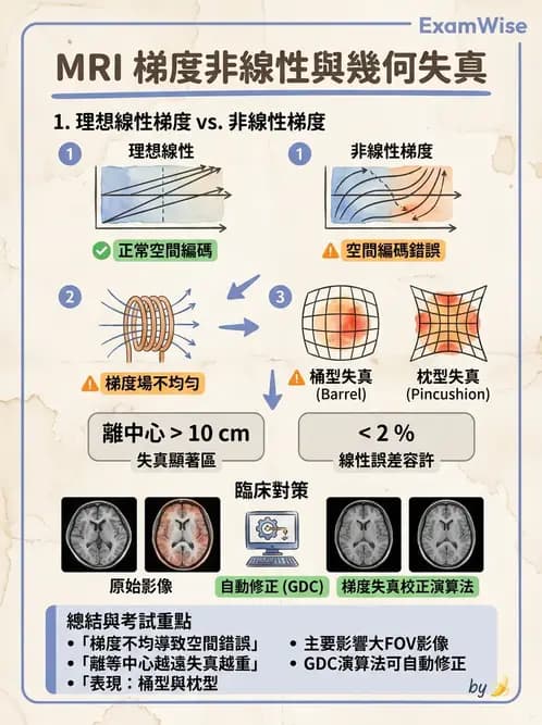 放射 - 梯度線圈與空間編碼 - AI 圖文解析預覽